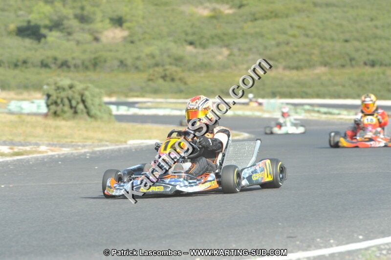 DSC (4072).JPG